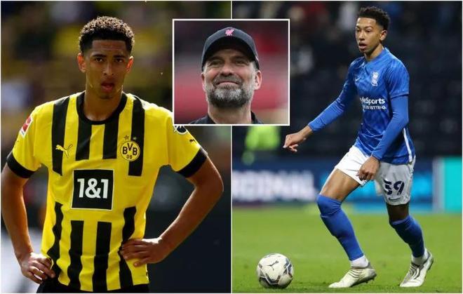 费迪南德称赞曼联新训练基地：非常漂亮，细节设计也太贴心了（费迪南德盛赞曼联新训练基地：外观出色，细节拿捏到位）